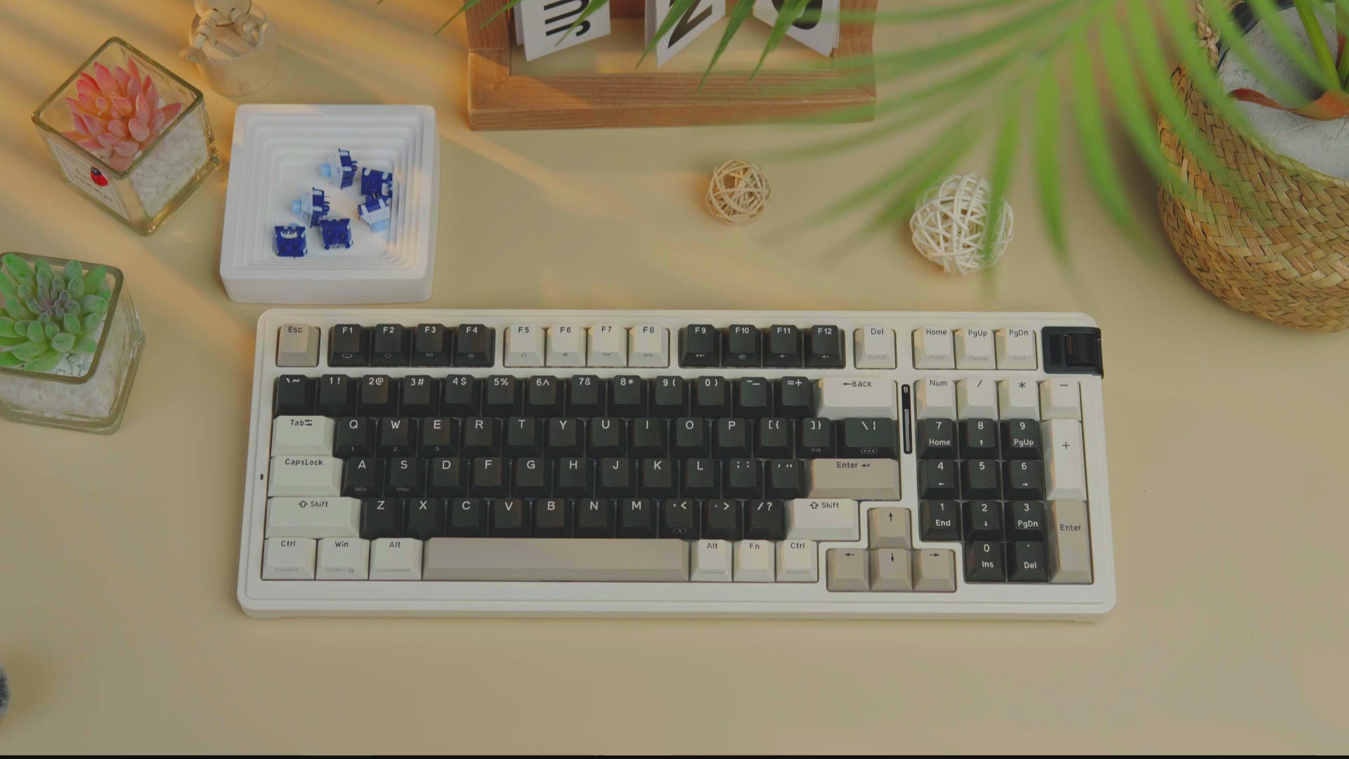 Cargar video: kzzi-mechanical-keyboard-poseidon-switch